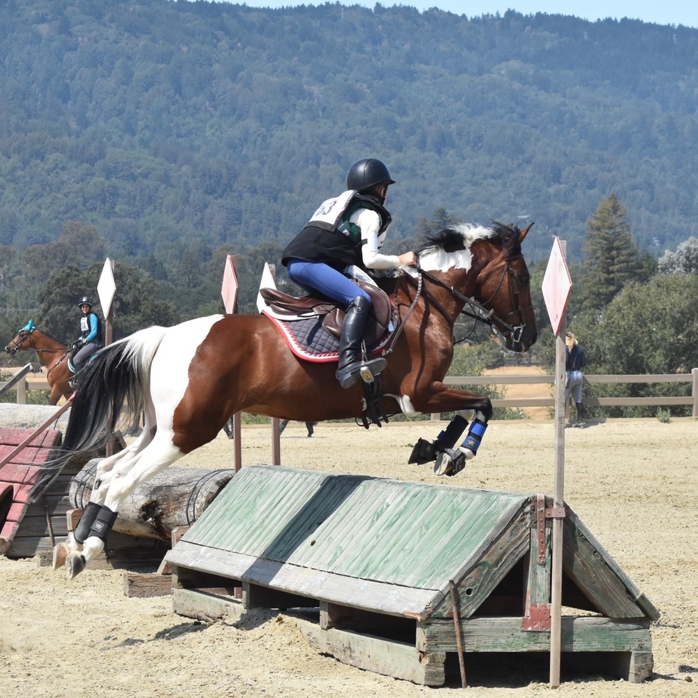 Meet your Posher, Rylan